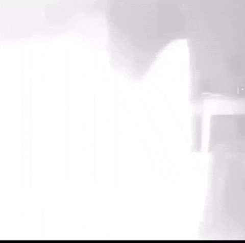 Be Like Big Eyes GIF