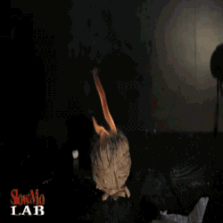 slow mo