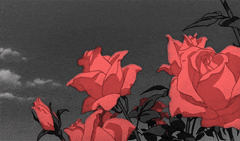Rose GIF