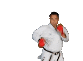 Isshoni Karate Sticker