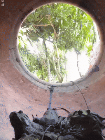 Sisilove GIF