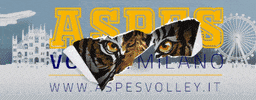 Aspes Volley Milano GIF