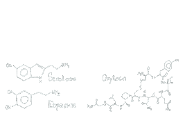 Biology Love Sticker