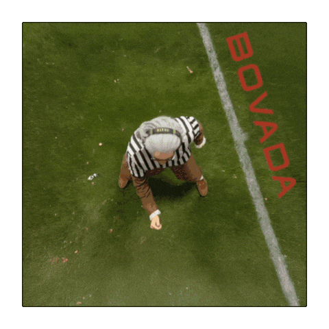 Football Field Heads Sticker by Bovada