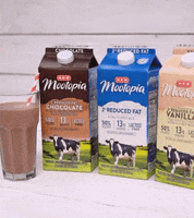 Chocolate Milk Texfest GIF by H-E-B