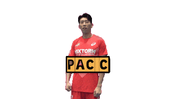 Vixtorm Sticker