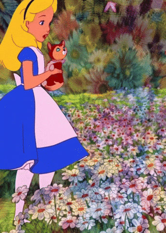 Alice In Wonderland Weed GIF