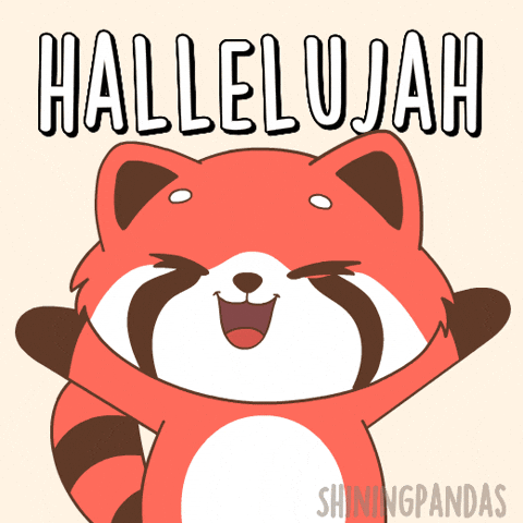 Red Panda Yes GIF