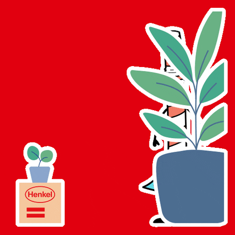 Happy Plants GIF by Henkel Sustainable Packaging Solutions