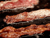 Explore sizzling bacon GIFs