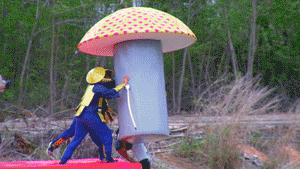 Wtf GIF