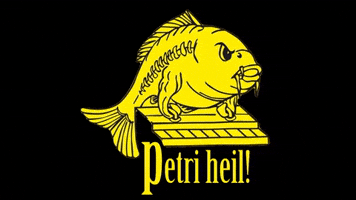 Fish Fishing GIF by mm-baitservice