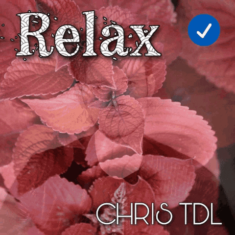 Chris_TDL_France relax french spotify tenor GIF