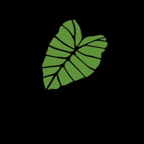 Just Listed GIF by ohanarealestateteam