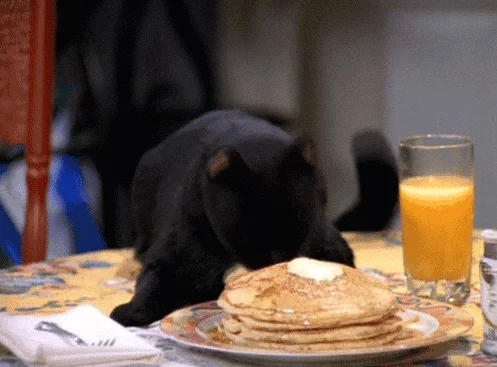 Black Cat Food GIF