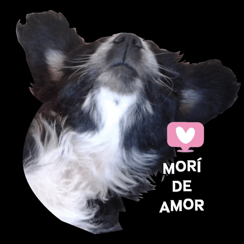 Dog Morir GIF by heyencadaetapa