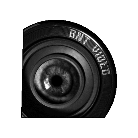 Bnt Sticker by Yerbanot