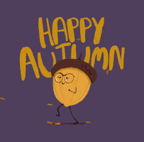Fall Season Animation GIF by Marianna