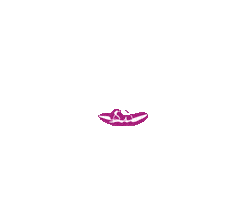 Bare Aesthetics Sticker