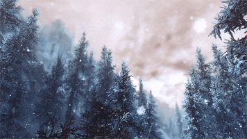 Photo gif. Icy fur trees glitter with snow that falls from a hazy sky.