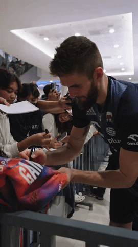 Happy Fans GIF by Volleyball World