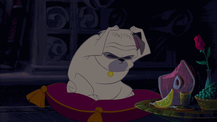 percy the dog from pocahontas