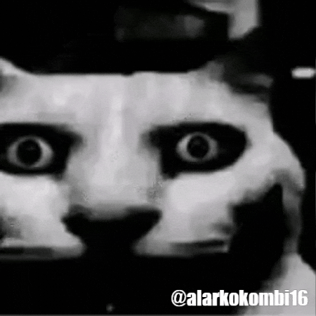 Alarkokombi16 GIF