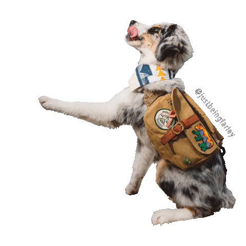 JustBeingFarley Sticker