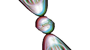 Phone Wow Sticker by De Cicco Store