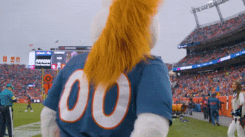 National Football League GIF by Broncos
