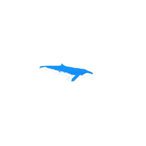 Blue Whale Sticker by Zoom