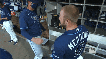 Baseball Slap GIF by MLB