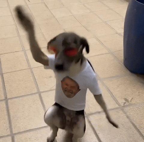 Dog Life GIF