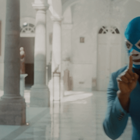 Don Gato Tequila GIF