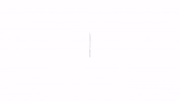 GIF by Mini Studio