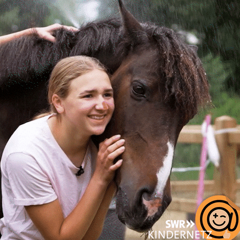 Horse Smile GIF by SWR Kindernetz