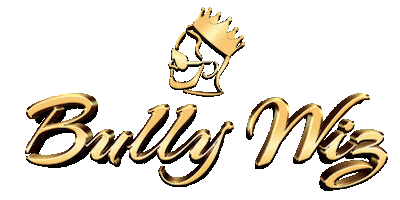 Bully Wiz Sticker