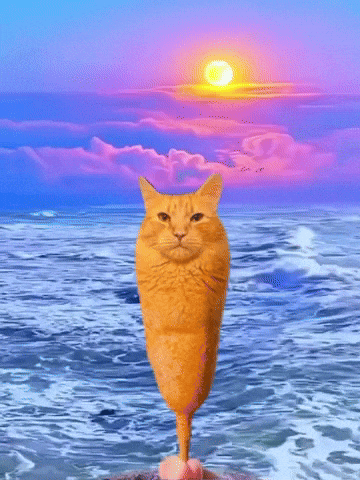 Cat Ai GIF