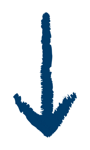 Seta Sticker by Itaipu Parquetec