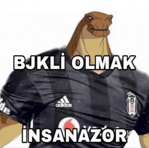 Besiktas GIF