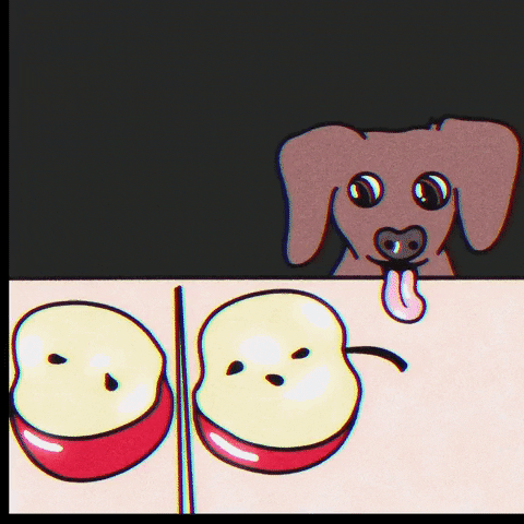emmaerickson dog hungry pet apple GIF