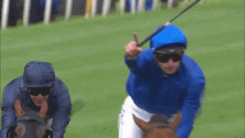 Melbourne Cup Winner GIF by World Horse Racing