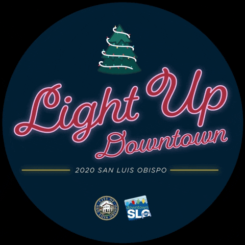 Slo Light Up Downtown GIF by whitney