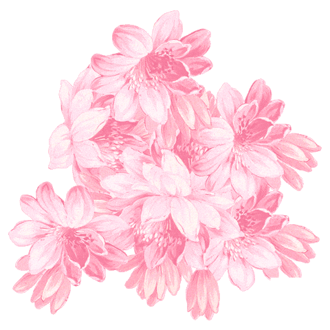 Girl Pink Sticker by Marlo Kids