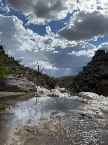 Arizona GIF
