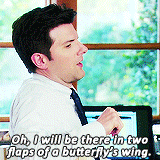 ben wyatt