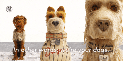 Wes Anderson Friends GIF by Searchlight Pictures