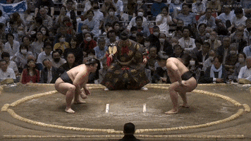 Sumo GIF