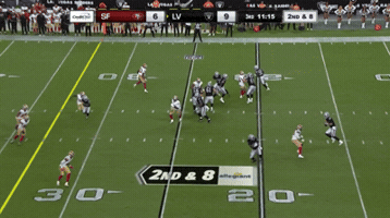 Las Vegas Raiders GIF