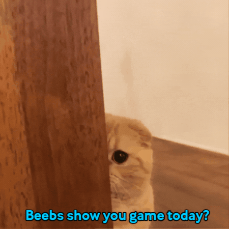 Beebs GIF